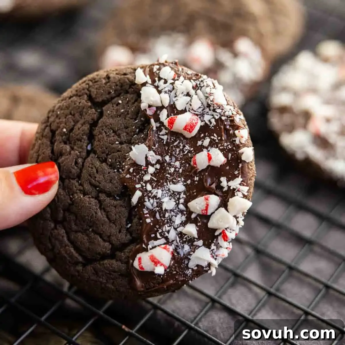 A hand holding a chocolate peppermint cake mix cookie dipped in chocolate and topped with crushed peppermint pieces, resting on a black cooling rack.