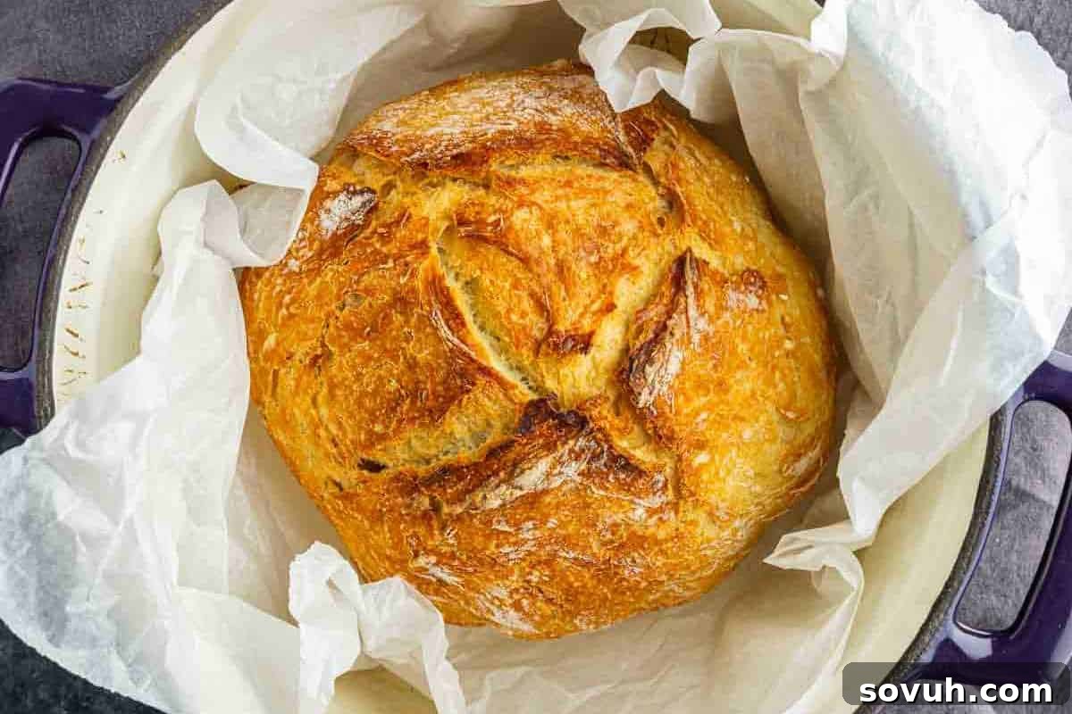 A round loaf of golden-brown artisan bread sits on parchment paper inside a Dutch oven.