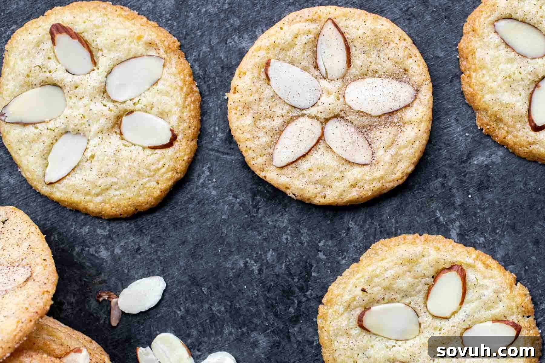 Round almond cookies with sliced almonds arranged on top, displayed on a dark slate surface with a few loose almond slices nearby—these Santa Approved treats make perfect Christmas Cookies for your festive celebrations.