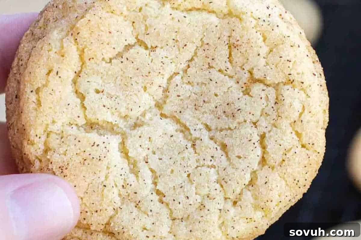 Close-up of a hand holding a round, golden-brown snickerdoodle cookie with visible cracks on the surface, coated in cinnamon sugar.