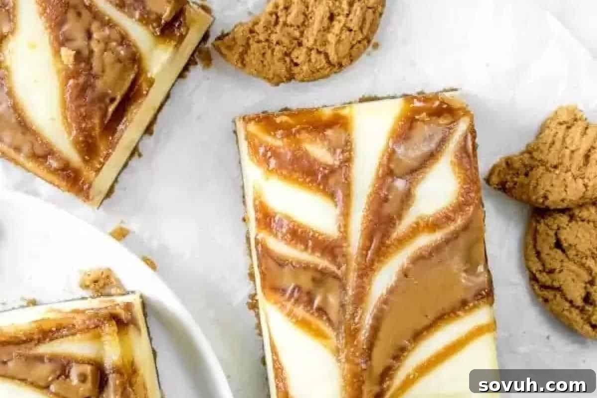 Rectangular cheesecake bars with a caramel or butterscotch swirl on top are arranged next to crumbled oatmeal cookies on a white surface.