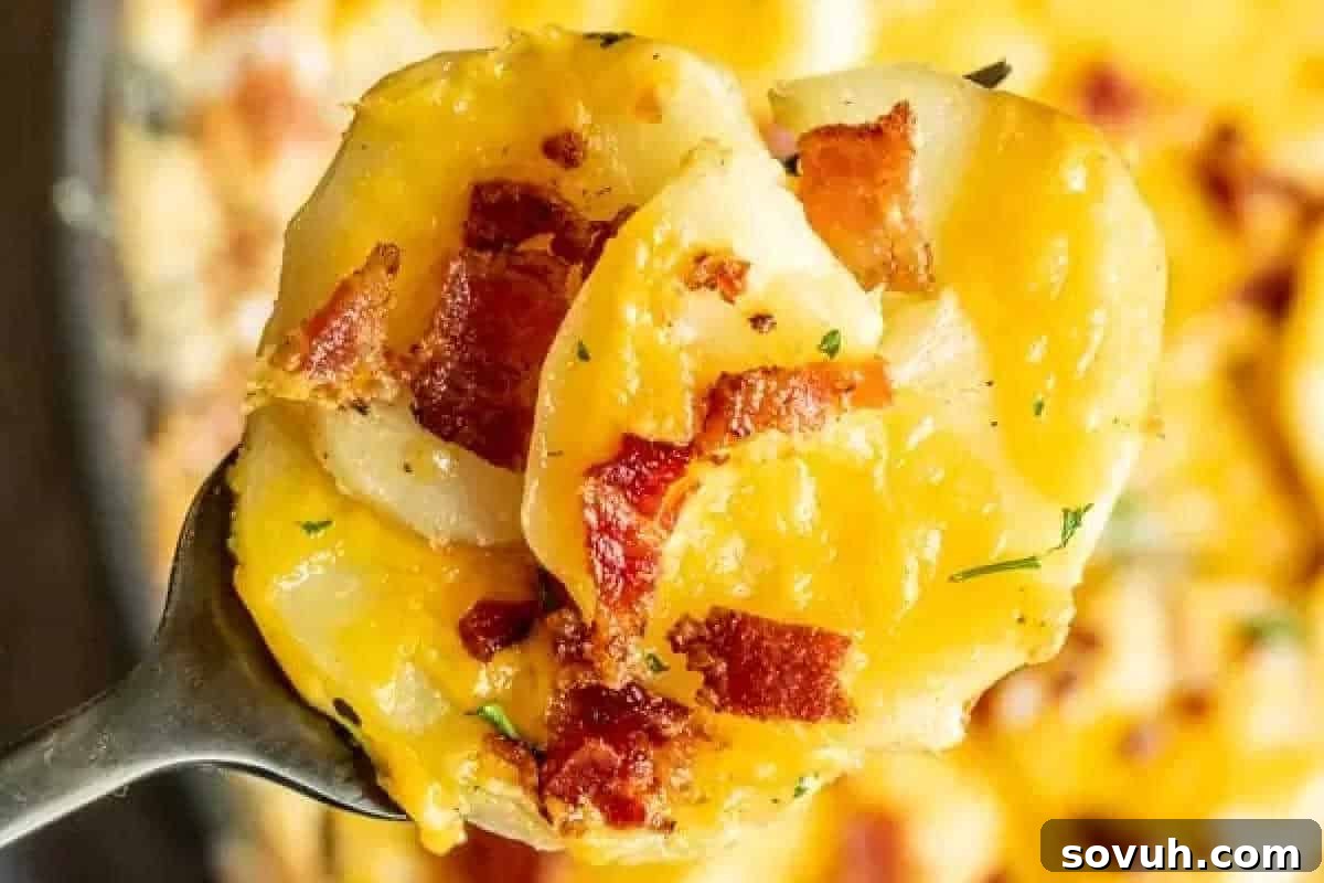 Close-up of a spoonful of cheesy scalloped potatoes topped with crispy bacon bits and garnished with herbs.