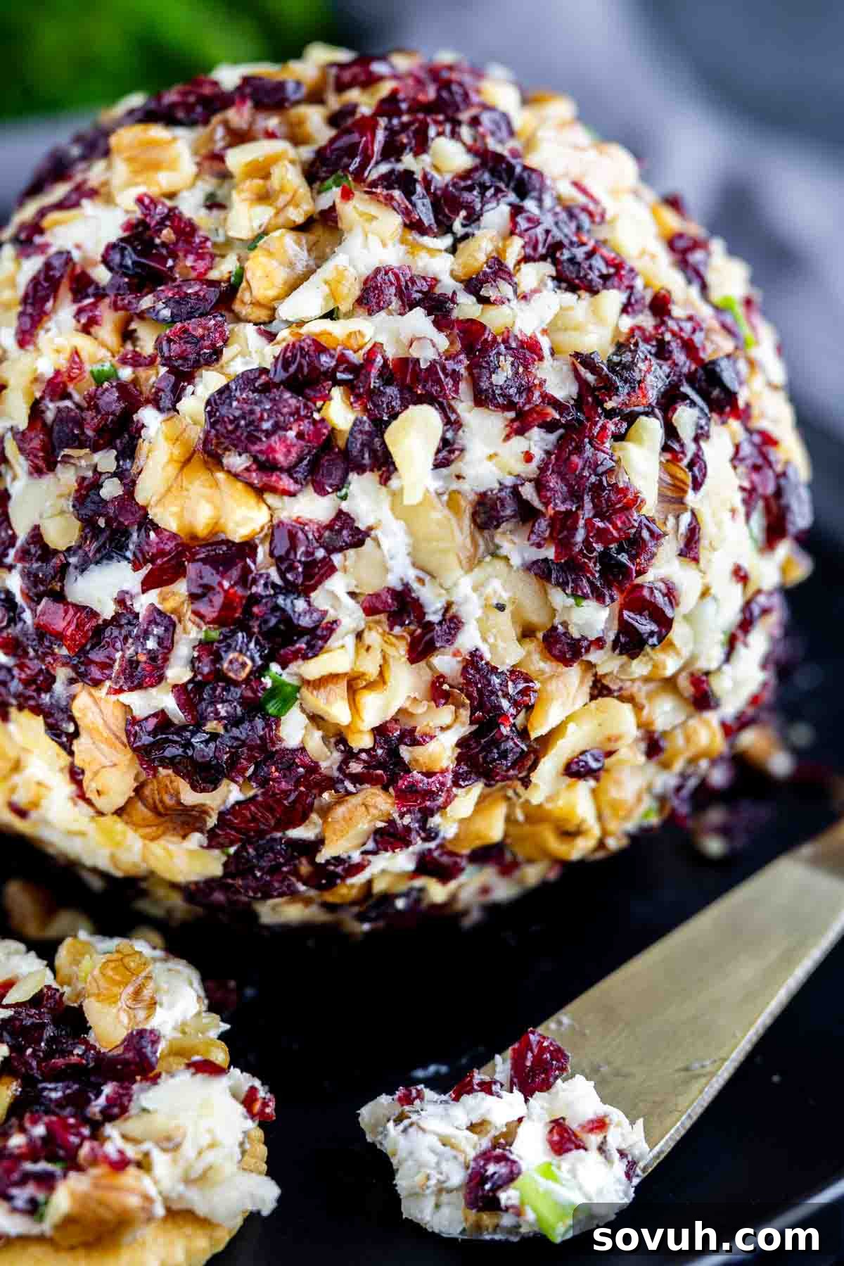 A delicious close-up of a Cranberry Cheeseball, featuring its vibrant coating of cranberries and chopped nuts, with a spreading knife poised to scoop this festive cheeseball recipe onto a cracker.
