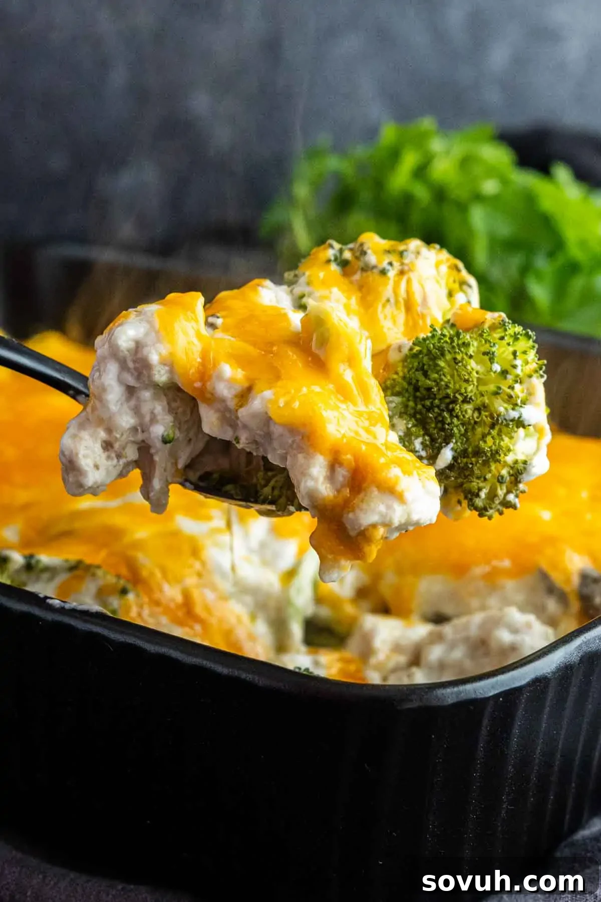 A spoon lifts a serving of high protein chicken and broccoli casserole from a black baking dish, with melted cheese visible on top—a delicious high protein meal idea.