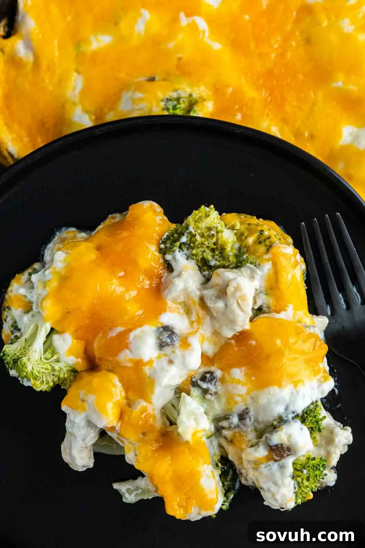A serving of low calorie chicken broccoli casserole with mushrooms, topped with melted cheddar cheese, on a black plate with a fork—an easy high protein lunch idea.