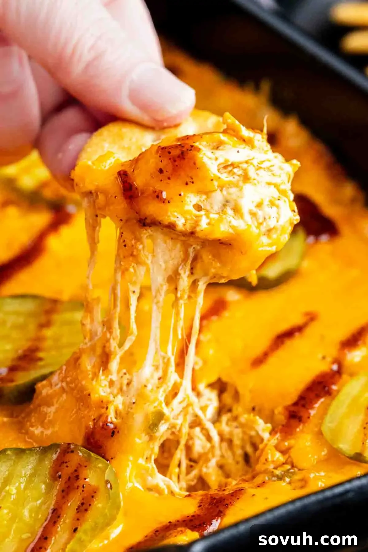 A hand dipping a chip into a cheesy Nashville hot chicken dip topped with sliced pickles, showing melted cheese stretching from the dish.