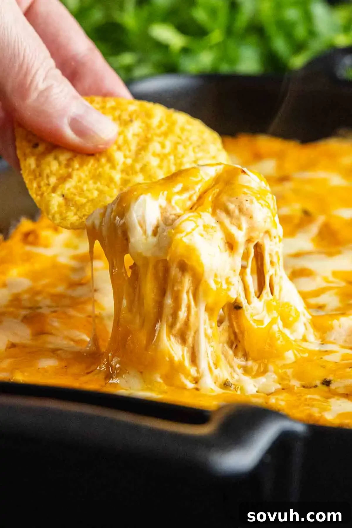 A hand dips a tortilla chip into a cheesy, melted chicken enchilada dip in a black dish, with gooey cheese stretching between the chip and the savory game day dip.
