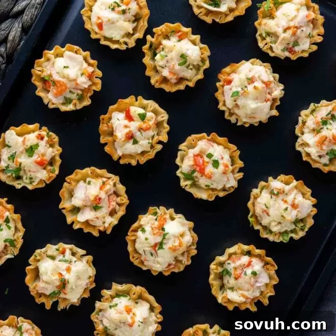 A tray of appetizers with cheese and vegetables on it.