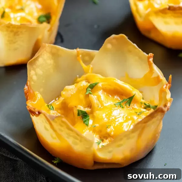 Buffalo Chicken Cups appetizer