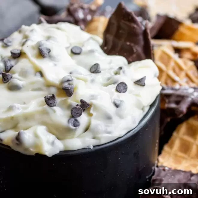 Cannoli Dip in a black bowl with chocolate chips