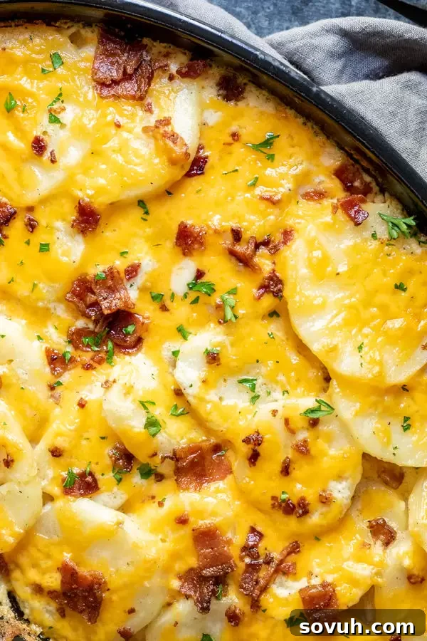 Loaded Au Gratin Potatoes layered with cheese