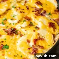 Loaded Au Gratin Potatoes loaded with bacon and cheese