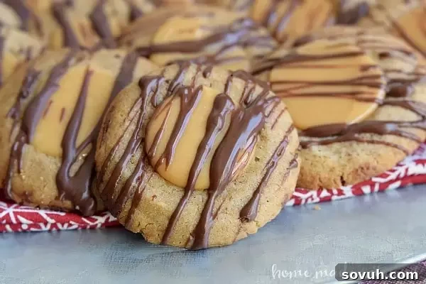 A cookie exchange is a fun way to share holiday cookie recipes. This is what you need to know to plan and host a cookie exchange.