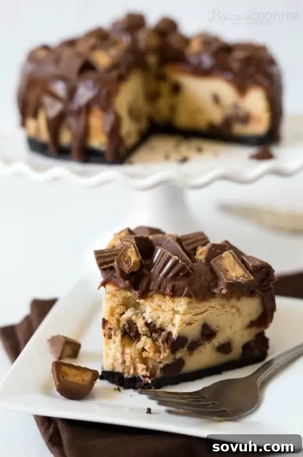 Have weeknight meals made in minutes by using a pressure cooker. These quick and easy one pot recipes use a pressure cooker to make cooking dinner a breeze.