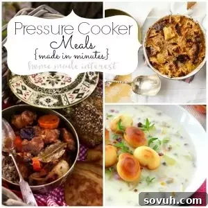 Have weeknight meals made in minutes by using a pressure cooker. These quick and easy one pot recipes use a pressure cooker to make cooking dinner a breeze.