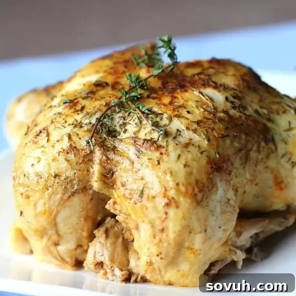 Have weeknight meals made in minutes by using a pressure cooker. These quick and easy one pot recipes use a pressure cooker to make cooking dinner a breeze.