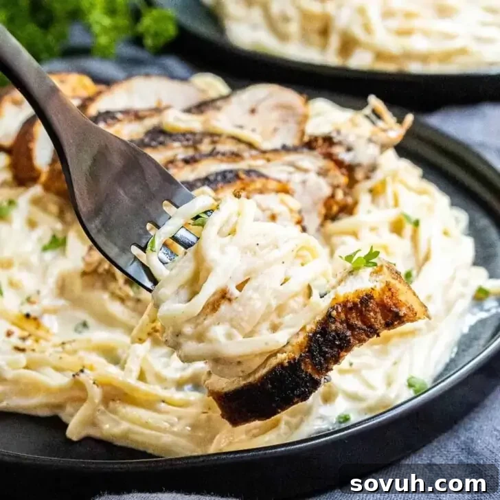 A fork holding a bite of fettuccine Alfredo with a piece of grilled chicken, poised over a plate of the dish garnished with fresh parsley.