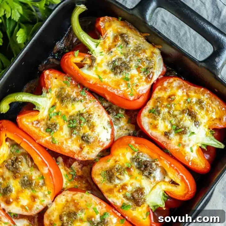 A baking dish filled with halved bell peppers generously stuffed with a meat and cheese mixture, beautifully garnished with fresh herbs.