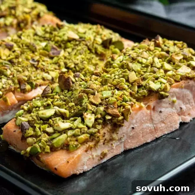 Pistachio-crusted salmon fillets beautifully arranged on a black sheet pan, ready for serving.