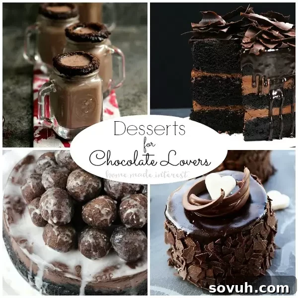 Ultimate rich and decadent chocolate lovers desserts. These chocolate recipes are sure to put a stop to your chocolate craving. Some of these desserts for chocolate lovers are even healthy!
