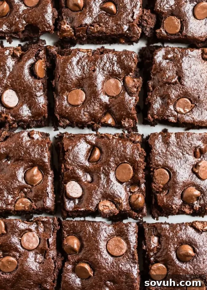 A plate of chocolate brownies with chocolate chips on top.