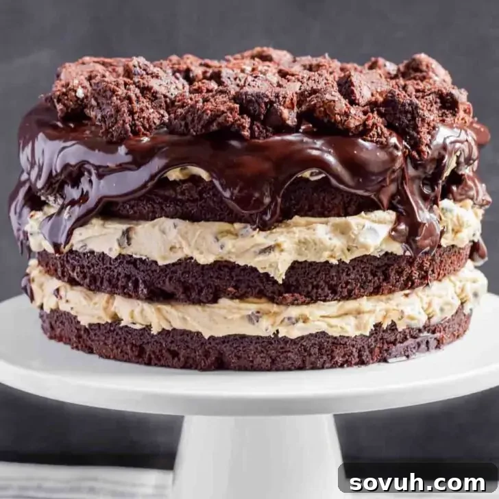 A brownie cake with frosting on a cake stand.