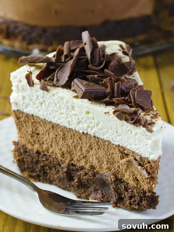 A slice of chocolate cake on a plate with a fork.