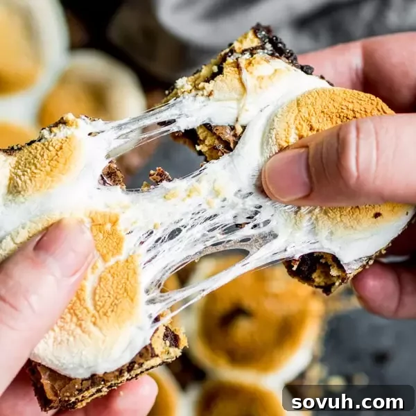 toasted gooey marshmallow on top of s'more brownies