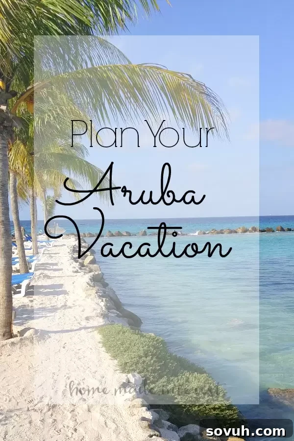 Aruba is a beautiful island with gorgeous beaches and amazing restaurants. We have some tips on how to plan an Aruba Vacation that your whole family will love!