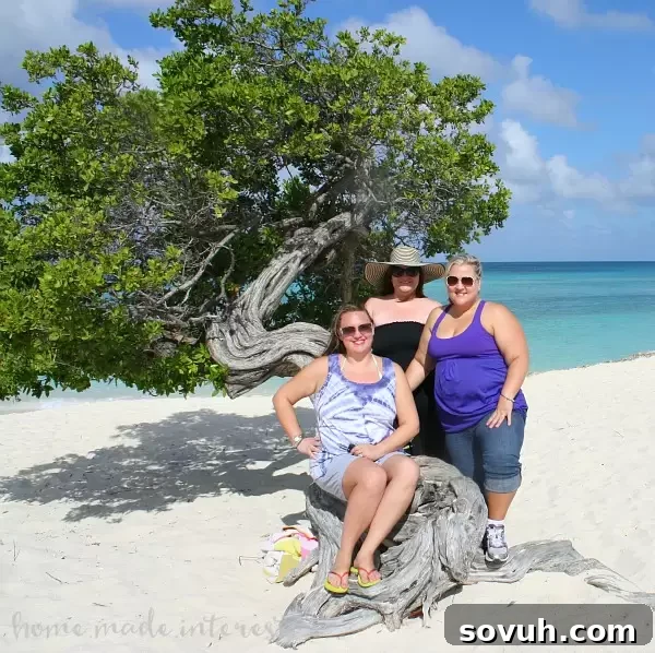 Eagle Beach Divi Tree Aruba