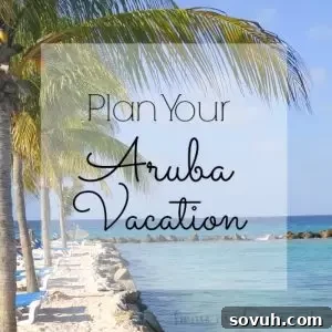 Aruba is a beautiful island with gorgeous beaches and amazing restaurants. We have some tips on how to plan an Aruba Vacation that your whole family will love!