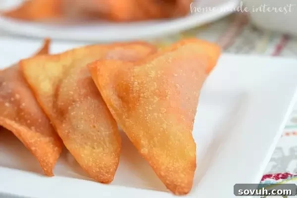 Crispy Pizza Wontons 4 These Pizza Wontons are a fun pizza snack for kids of all ages. Everyone will love this crunchy wonton filled with pizza sauce, cheese, and pepperonis!