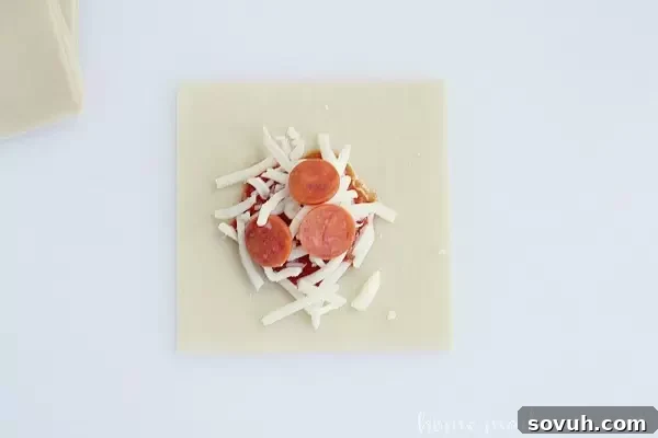 Crispy Pizza Wontons 5 These Pizza Wontons are a fun pizza snack for kids of all ages. Everyone will love this crunchy wonton filled with pizza sauce, cheese, and pepperonis!