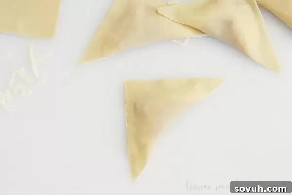 Crispy Pizza Wontons 7 These Pizza Wontons are a fun pizza snack for kids of all ages. Everyone will love this crunchy wonton filled with pizza sauce, cheese, and pepperonis!