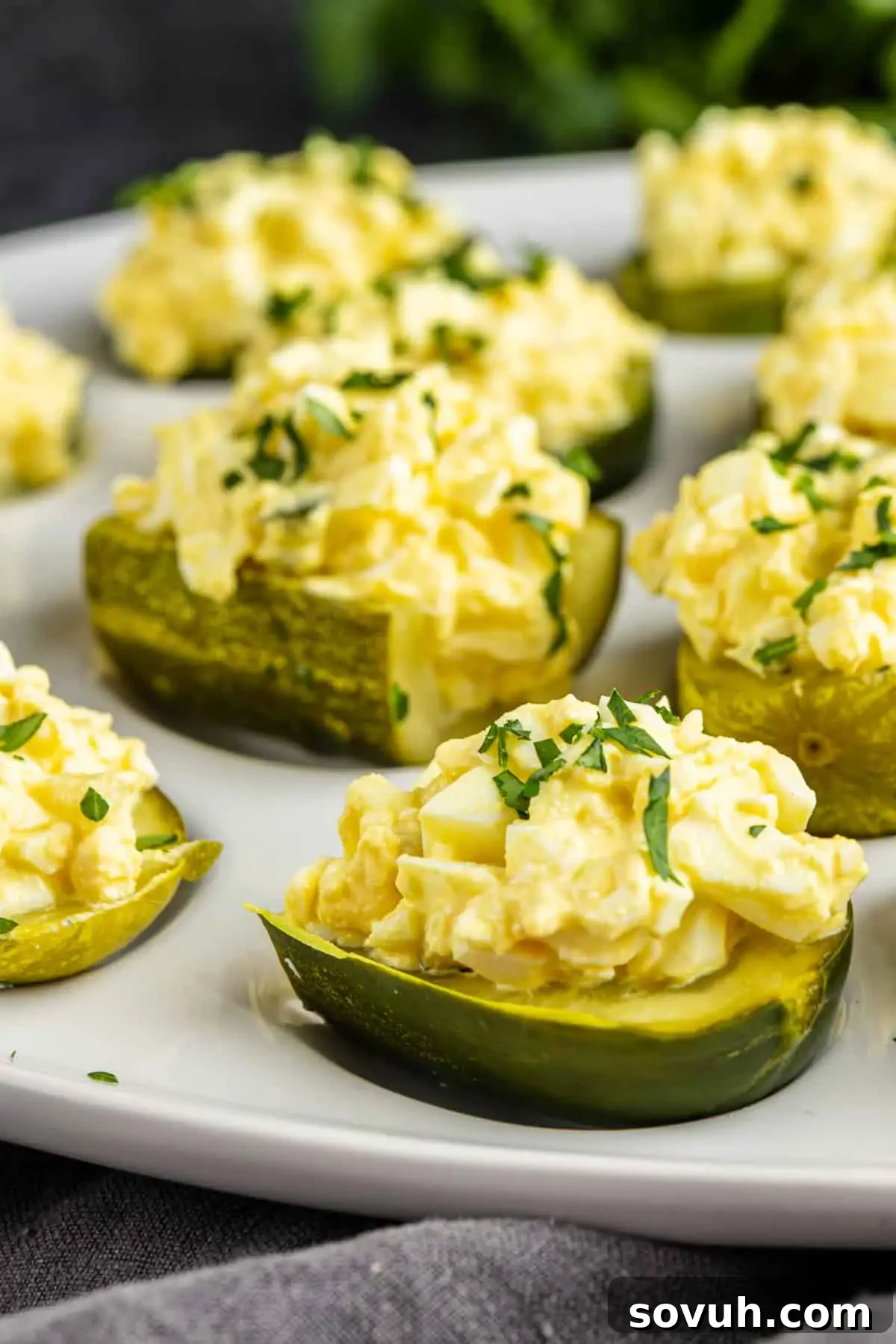 The Devil's Own Pickles 5 A close-up view of beautifully arranged Deviled Pickles on a pristine white plate. Each sliced pickle half is generously topped with a creamy egg salad mixture and artfully garnished with finely chopped fresh herbs. These easy pickle appetizers showcase vibrant colors and a delightful texture, promising a tasty and unique treat perfect for any gathering.