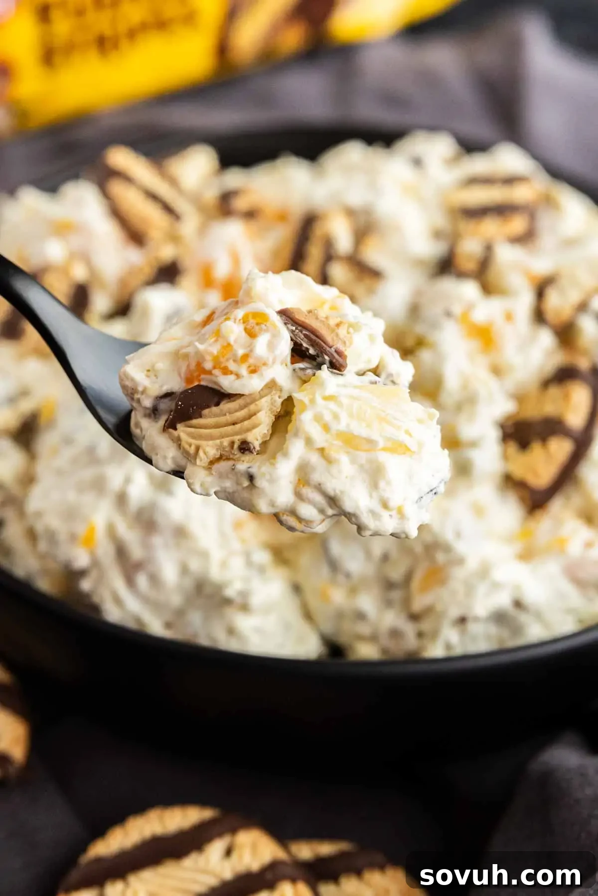 Fudge Stripe Cookie Salad Recipe: Creamy No-Bake Dessert 5 A spoonful of creamy Fudge Stripe Cookie Salad with chocolate-striped cookies and fruit pieces held above a bowl filled with the same mixture.