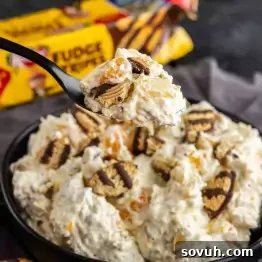 Fudge Stripe Cookie Salad Recipe: Creamy No-Bake Dessert 7 A bowl of creamy dessert mixed with orange segments and chocolate-covered cookies, with a spoonful held above the bowl.