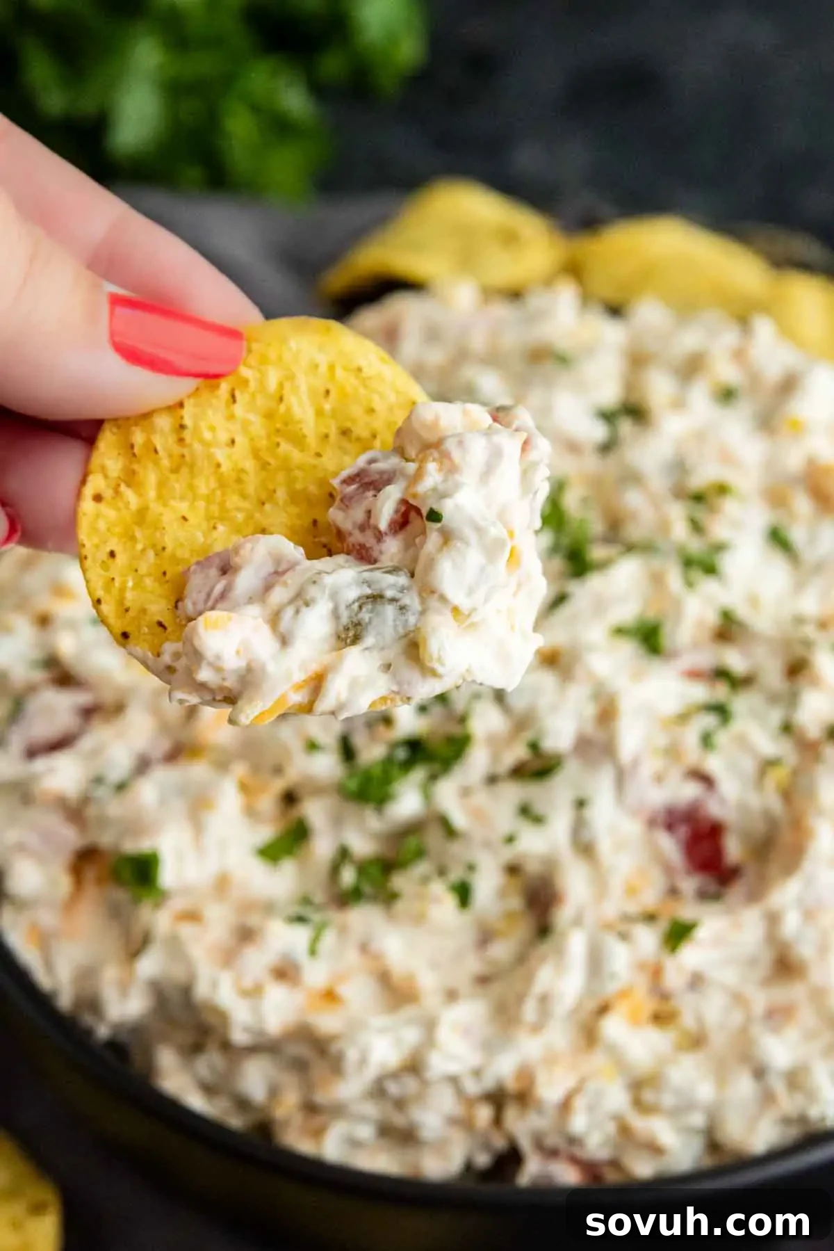 How to Make the Viral Boat Dip Everyone Loves 6 A close-up of a hand holding a tortilla chip with creamy Rotel ranch dip, in front of a bowl filled with the same dip topped with chopped herbs.