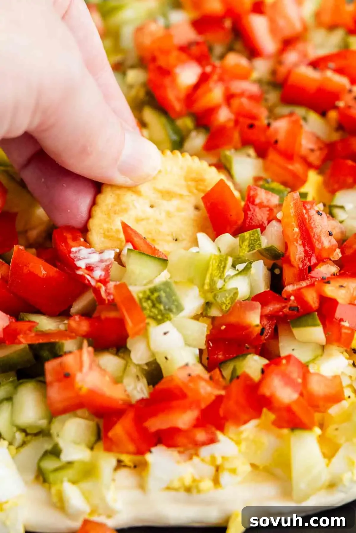 Viral TikTok Layered Egg Salad Dip Recipe 6 A hand dips a round cracker into a layered egg salad dip, topped with diced tomatoes, pickles, onions, and peppers on a creamy base.