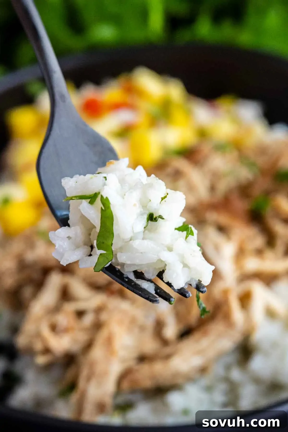 Fluffy Coconut Lime Rice Recipe with Fresh Citrus Flavor 5 A close-up of a fork holding easy coconut lime rice garnished with chopped herbs, with shredded meat and diced vegetables blurred in the background.