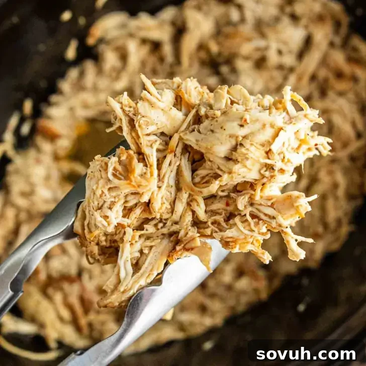 Slow Cooker Jerk Chicken Recipe 5 Metal tongs hold shredded cooked chicken above a slow cooker filled with more shredded chicken.