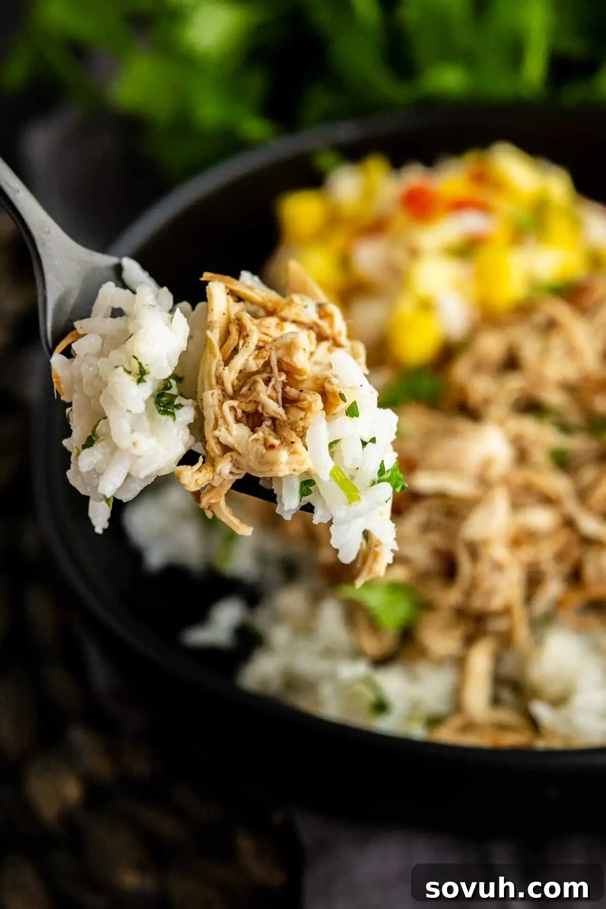 Slow Cooker Jerk Chicken Recipe 7 A close-up of a forkful of white rice and shredded chicken held above a bowl containing rice, shredded chicken, and a vegetable mix.