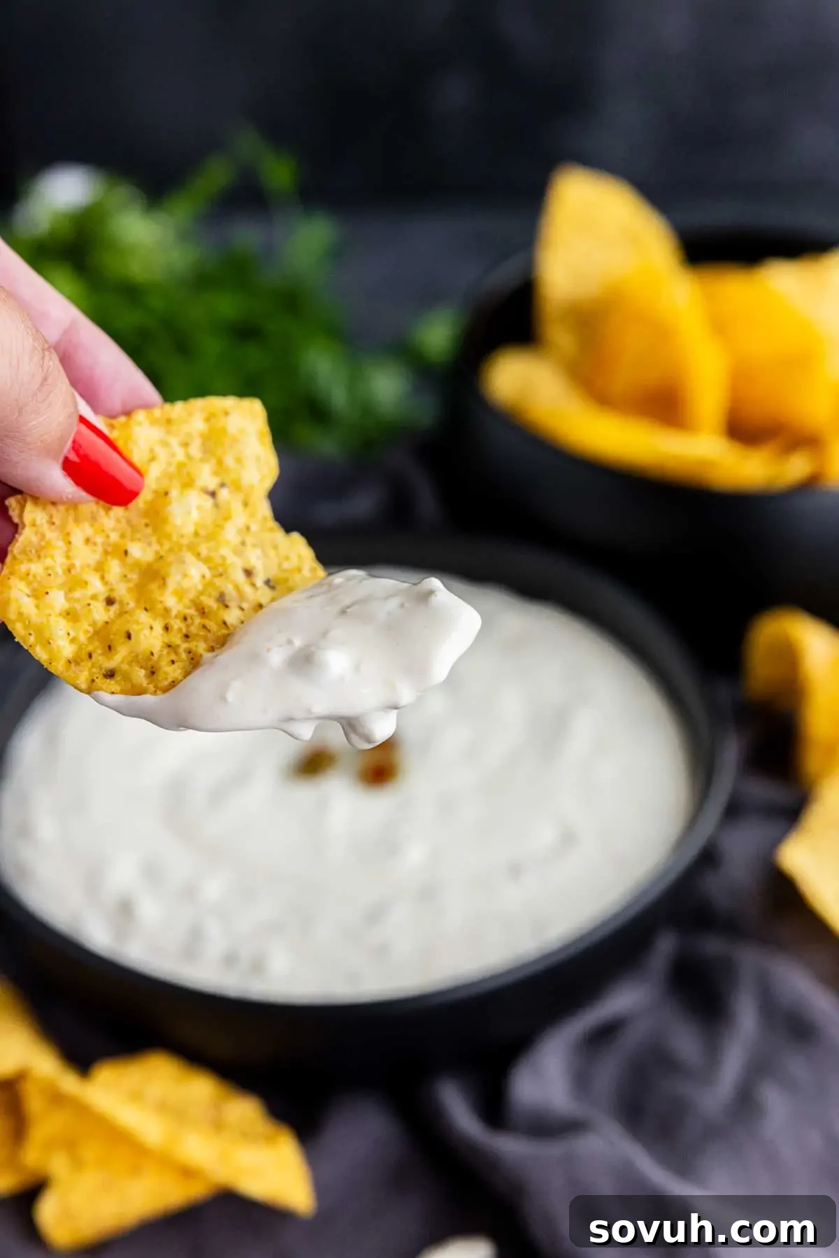 Tortilla chip scooping creamy Hamlin’s White Dip from a serving bowl
