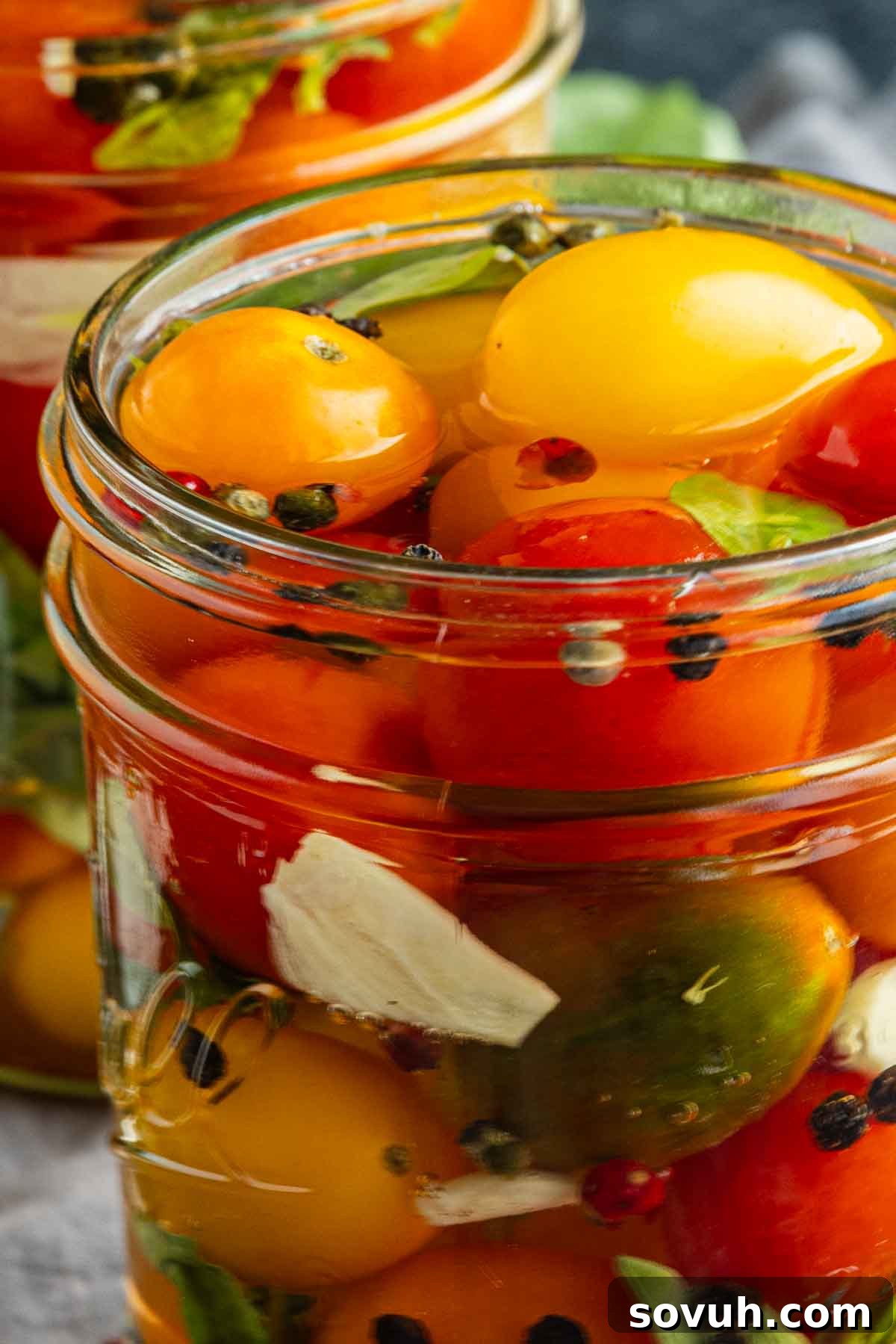 Close-up of a glass jar filled with colorful cherry tomatoes, herbs, peppercorns, and slices of garlic in brine—a delicious example of how to pickle cherry tomatoes for a vibrant quick pickle recipe.